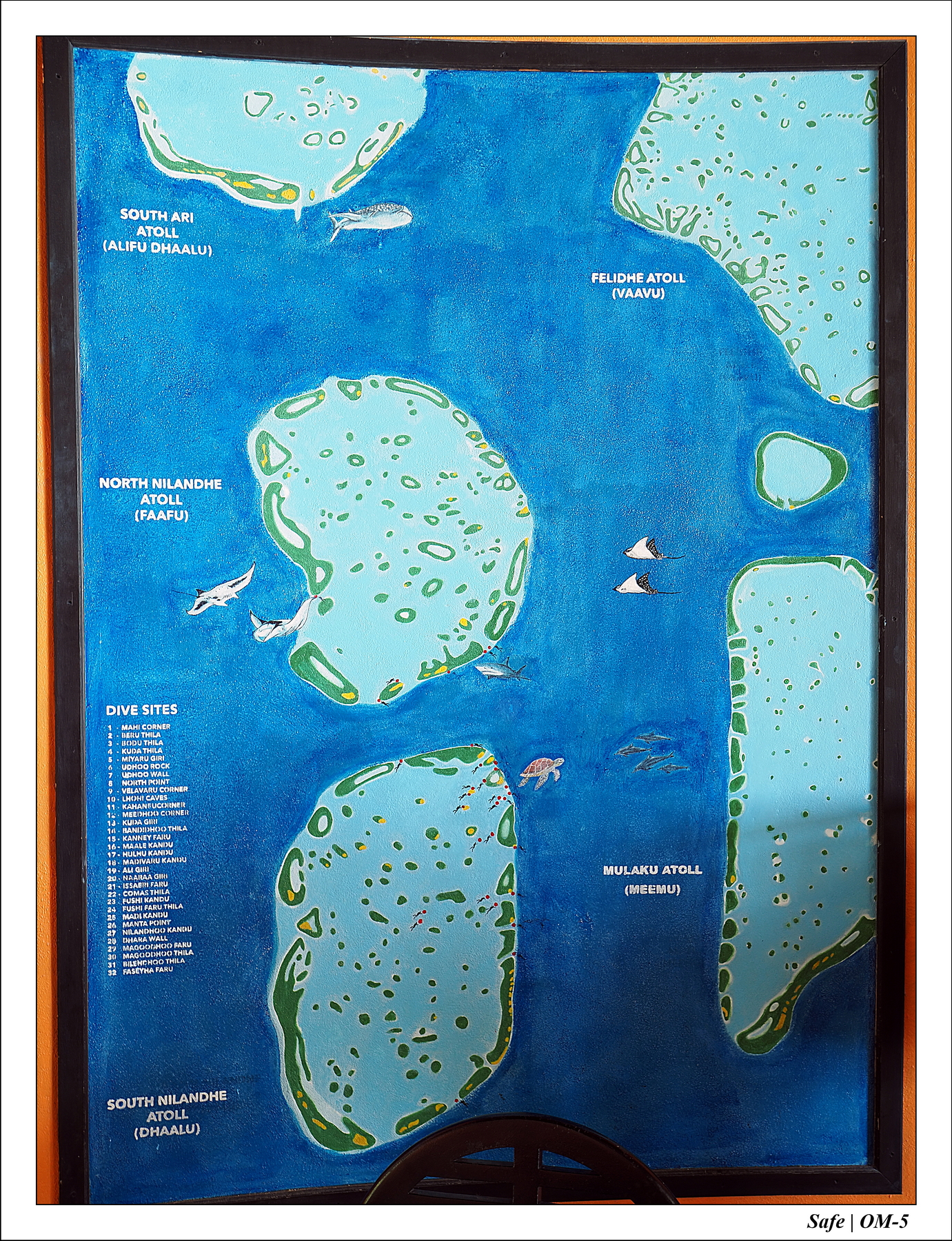 2024 - 08 -Angsana Velavaru - 52